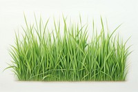 Grass backgrounds plant green. AI generated Image by rawpixel.