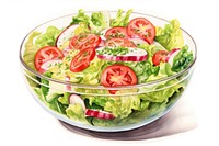 Salad vegetable lettuce plate. 