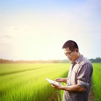 photo of a man farmer with tablet working in rice field. AI generated Image by rawpixel. 