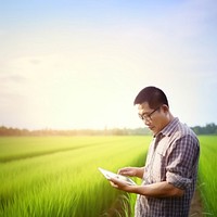 photo of a man farmer with tablet working in rice field.  