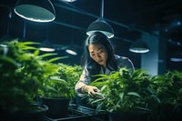 Marijuana industry gardening working nature. AI generated Image by rawpixel.