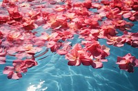 Flower petal backgrounds swimming. 