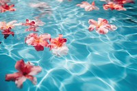 Flower petal swimming outdoors. 