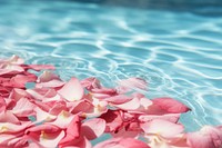 Flower petal swimming outdoors. 