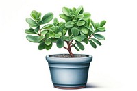 Plant bonsai leaf tree. AI generated Image by rawpixel.