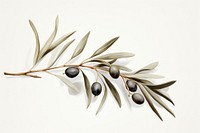 Olive branch plant leaf accessories. AI generated Image by rawpixel.