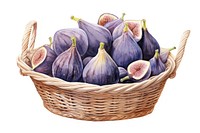 Fig basket plant food. 