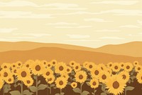 Sunflower field backgrounds landscape outdoors. 