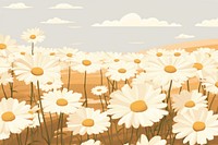 Daisy field backgrounds outdoors flower. 