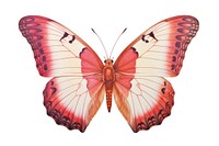 Butterfly animal insect moth. AI generated Image by rawpixel.