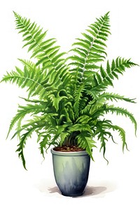 Indoor plant fern leaf houseplant. AI generated Image by rawpixel.