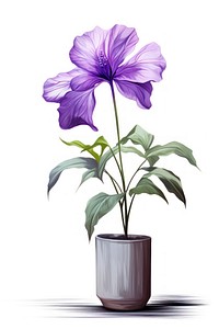 Indoor plant flower purple inflorescence. AI generated Image by rawpixel.