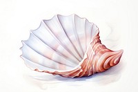Sea shell invertebrate freshness seashell. AI generated Image by rawpixel.
