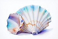 Sea shell clam invertebrate shellfish. AI generated Image by rawpixel.