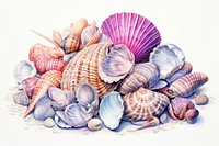 Sea shells seashell drawing seafood. AI generated Image by rawpixel.