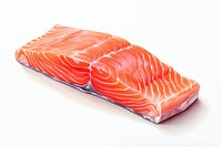 Salmon meat seafood white background freshness. 