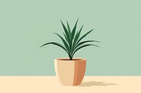 Indoor plant houseplant flowerpot pineapple. 