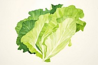 Lettuce vegetable food freshness. AI generated Image by rawpixel.