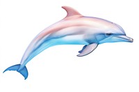 Dolphine animal mammal fish. AI generated Image by rawpixel.