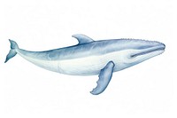 Whale dolphin drawing animal. AI generated Image by rawpixel.