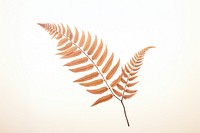 Brown fern plant leaf pattern. 