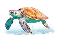 Sea turtle reptile drawing animal. AI generated Image by rawpixel.