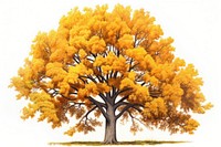 Oak tree autumn plant maple. AI generated Image by rawpixel.