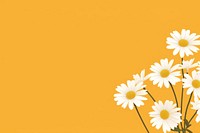 Daisy backgrounds flower petal. AI generated Image by rawpixel.