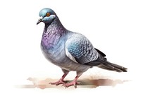 Pigeon drawing animal sketch. AI generated Image by rawpixel.