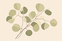 Eucalyptus plant leaf pattern. 