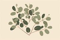 Eucalyptus pattern plant leaf. 