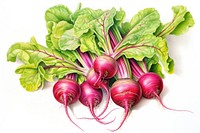 Vegetable radish plant food. AI generated Image by rawpixel.