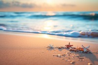 Beach sea sky seascape. 