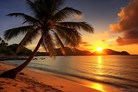 Sandy tropical beach outdoors tropics horizon. 