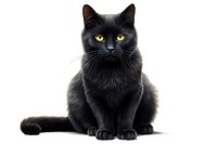 Black cat mammal animal pet. AI generated Image by rawpixel.