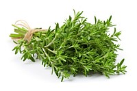 Plant herbs food ingredient. AI generated Image by rawpixel.