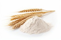 Wheat food ingredient triticale. AI generated Image by rawpixel.