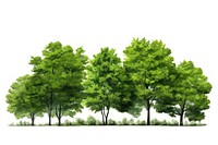 Outdoors woodland nature forest. AI generated Image by rawpixel.
