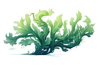 Seaweed outdoors nature white background. AI generated Image by rawpixel.