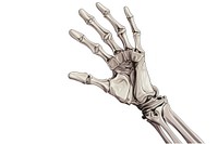 Skeleton hand electronics fracture hospital. AI generated Image by rawpixel.
