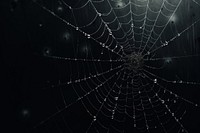 Spider backgrounds web complexity. AI generated Image by rawpixel.