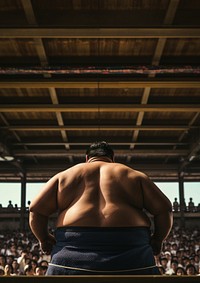 Japanese sumo sports adult back. 