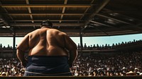 Japanese sumo sports adult back. 