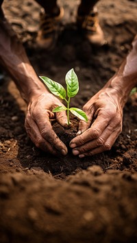 Hands planting gardening outdoors nature. AI generated Image by rawpixel.