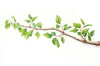 Tree branch plant herbs leaf. AI generated Image by rawpixel.