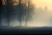 Nature fog landscape outdoors. 