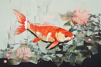 Koi fish animal carp underwater. 