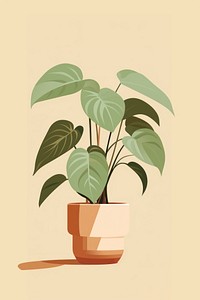 House plant leaf houseplant flowerpot. 