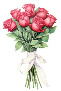 Red roses bouquet flower plant white background. 