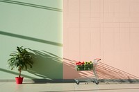 Supermarket plant architecture watermelon. 